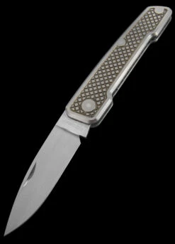 W.F. Steenkamp Custom Pointer Titanium