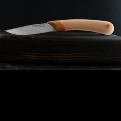 Ontario Chromatics Steak Knife -Campfire Essentials Shop ON3550det2 10084.1625820807