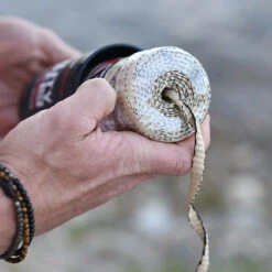 Rapid Rope Canister -Campfire Essentials Shop RRPC6010det5 05809.1640877901