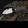 Buck Saunter Drop Point Folding Knife
